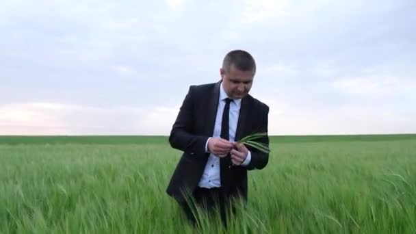 Joven agricultor, dueño de un negocio inspecciona un campo de trigo. — Vídeo de stock