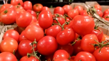 Süpermarkette domatesler, yavaş çekim kamerası.
