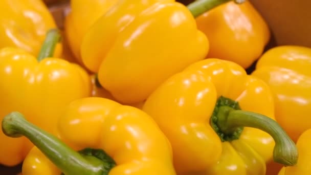 Cosecha de pimiento amarillo en el puesto del mercado de verduras — Vídeos de Stock