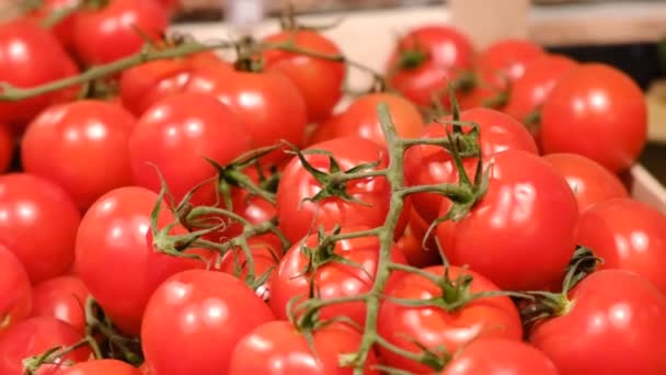 Tomates vermelhos como vídeo de fundo, vídeo lapso de tempo — Vídeo de Stock