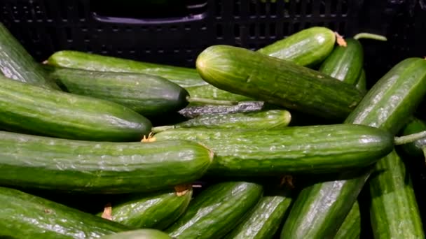 Cosecha de pepino en el puesto del mercado de verduras, cámara lenta — Vídeo de stock