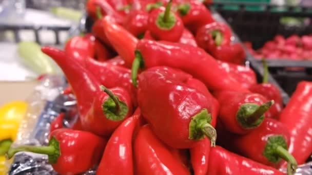 Bolgár paprika dobozokban a zöldségpiacon — Stock videók
