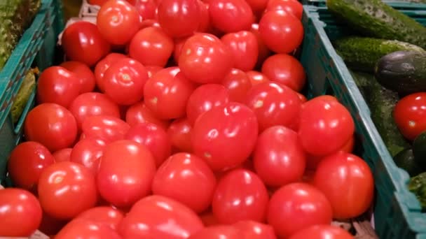Червоні помідори, зібрані на фермі, помідори в коробках на ринку — стокове відео