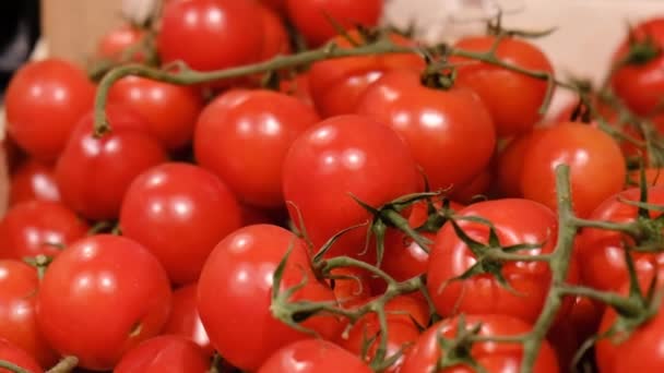 Tomates rouges dans des boîtes sur le marché, au ralenti — Video
