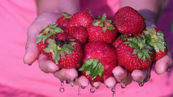 Las fresas frescas en las manos femeninas son lavadas bajo el agua corriente. — Vídeos de Stock