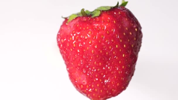 Macro photography of strawberries in the studio. Slow motion — Stock Video