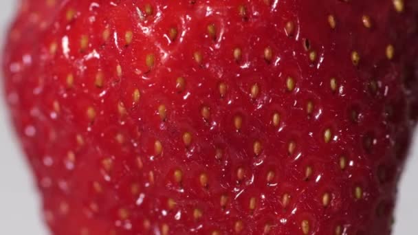 Fresa grande sobre fondo blanco. Macro fotografía de fresas — Vídeos de Stock