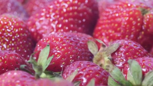 Ώριμες κόκκινες φράουλες, φόντο φράουλας, περιστροφή. — Αρχείο Βίντεο