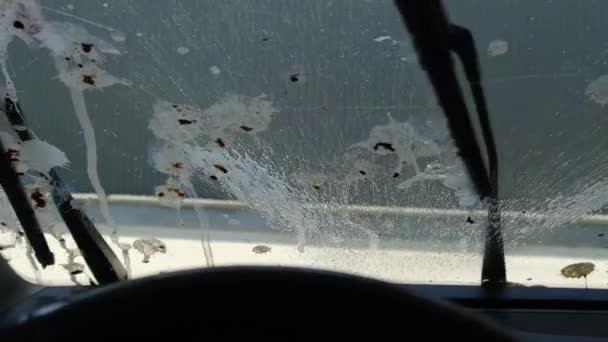 Die Windschutzscheibe eines Autos mit viel Vogelkot. — Stockvideo