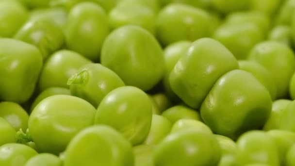 Macro shot of fresh organic green peas. Vegetable harvest Healthy food. — Stock Video