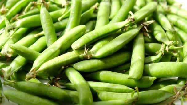 Fresh green peas pods rotation close up. — Stock Video