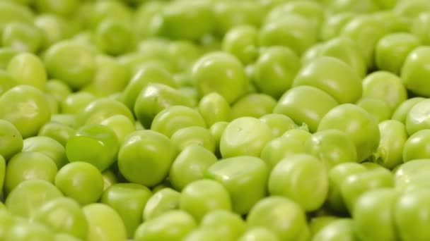 Close Up Green Peas Background Rotating. Beautiful Texture Close-up of Fresh Green Peas. — Stock Video