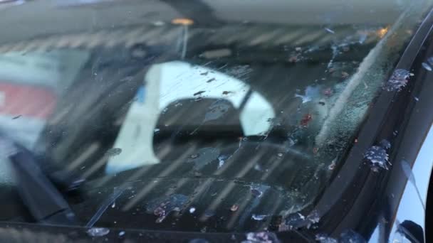 Car windshield in bird droppings. — Stock Video