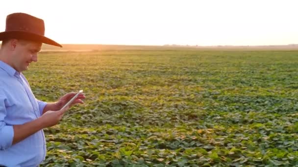 Agronomiste-homme d'affaires avec une tablette marche autour d'un champ de légumineuses. — Video