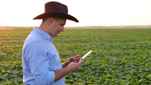 Un joven agrónomo estudia plantas en un campo y usa una tableta. — Vídeos de Stock