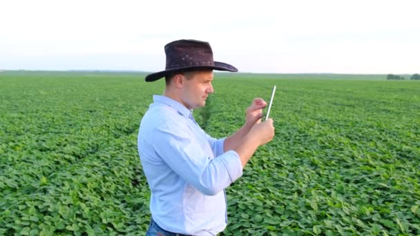 Un agrónomo masculino comprueba el crecimiento de legumbres en un campo agrícola, trabajando con una tableta digital — Vídeo de stock