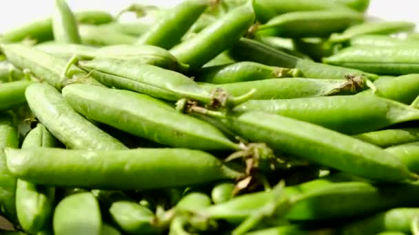 Fresh green polka dot pods rotation close up. Swivel video — Stock Video