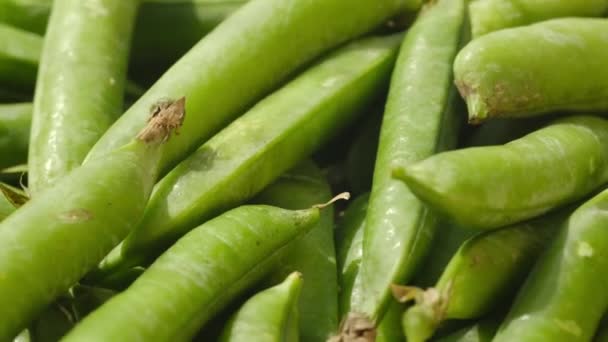 A vagem de ervilha verde crua gira. Giratória de vídeo — Vídeo de Stock