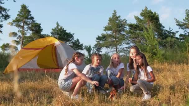 Hermosas chicas fríen malvaviscos en el fuego en la naturaleza. Campamento de verano. — Vídeos de Stock