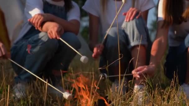 Τα κορίτσια τηγανίζουν ζαχαρωτά στη φωτιά στο δάσος. Ψήσιμο ζαχαρότευτλων. — Αρχείο Βίντεο