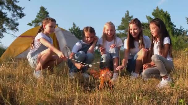 Skupina šťastných dětí pečení marshmallows na táboře oheň. — Stock video