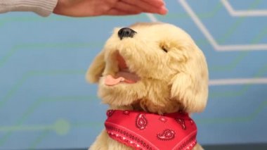 Çocuklar robot bir köpeği okşuyor. Elleri çocuk eli olan robot bir köpek..