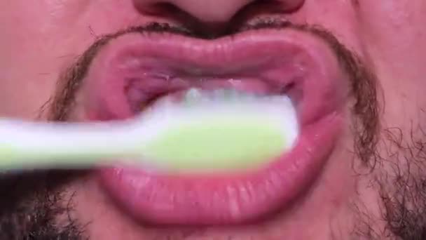 Hombre con barba y bigote cepilla cuidadosamente sus dientes. — Vídeos de Stock