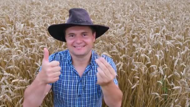 Agricultor sosteniendo una espiguilla en un campo de trigo - agricultura — Vídeo de stock