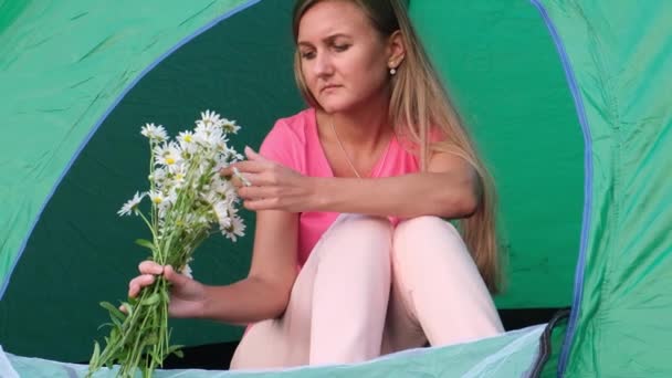 Loving man gave daisies while sitting in a tent while camping. — Stock Video