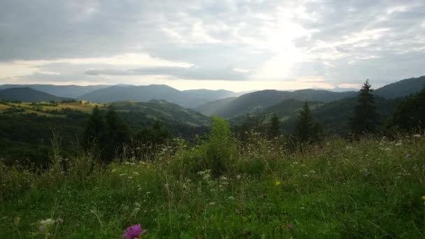 Bela paisagem montanhosa ao pôr do sol. Verão nas montanhas. — Vídeo de Stock