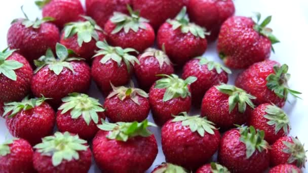 Macro primer plano de fresas rojas orgánicas. Vista desde arriba. — Vídeos de Stock