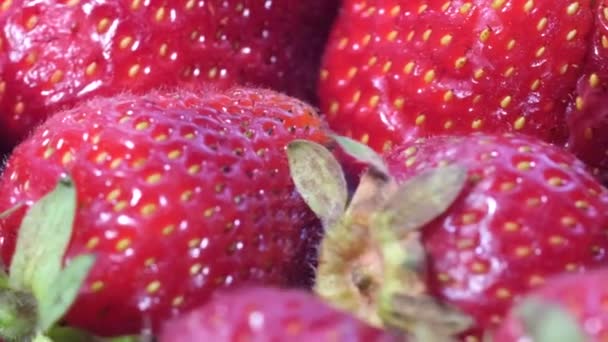 Macro photography of rotating red ripe strawberries. — Stock Video