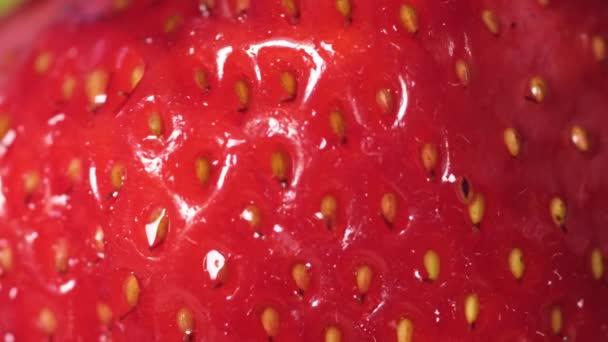 Fresas rojas maduras y gotas de agua que caen de las bayas. — Vídeos de Stock