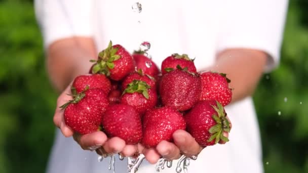 Rote Erdbeeren in den Händen waschen. Viele Vitamine, natürliche Ernährung, Sommerernte. — Stockvideo