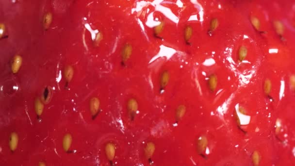 Fotografía macro de fresas orgánicas maduras. Gotas de agua caen sobre las fresas. — Vídeo de stock