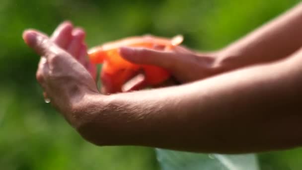 Shooting close up, disinfecting hands from the virus. — Stock Video