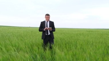 Tabletli Amerikalı çiftçi buğday tarlasında yürüyor. Yeşil organik buğday tarlası.