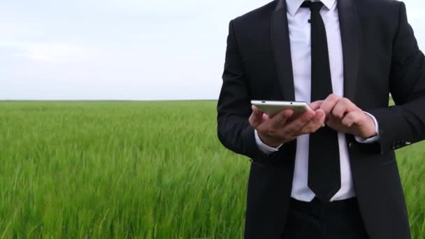 Hombre agricultor con tableta en un campo de trigo verde. Cultivo de alimentos. — Vídeos de Stock