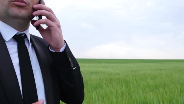 Agronomist talking on a smartphone against the backdrop of a green wheat field — Stock Video