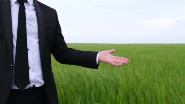 Farmer - agronomist demonstrates his wheat field with his hand — Stock Video