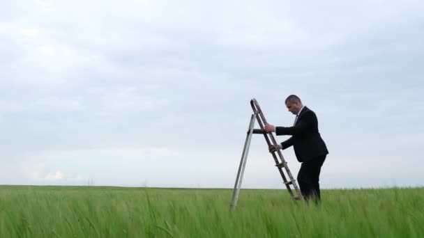 Loopbaangroei van een kantoormedewerker. Ladder van menselijke groei en ontwikkeling. — Stockvideo