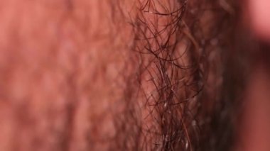 Bir erkeğin yüzündeki kıllar. İnsan yüzünün makro fotoğrafı.