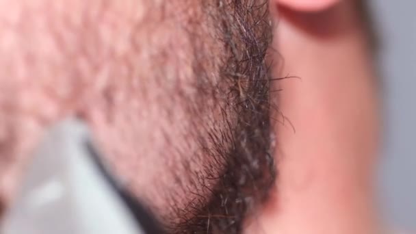 Rasieren Borsten auf einem Mann Gesicht. Makrofotografie eines menschlichen Gesichts — Stockvideo