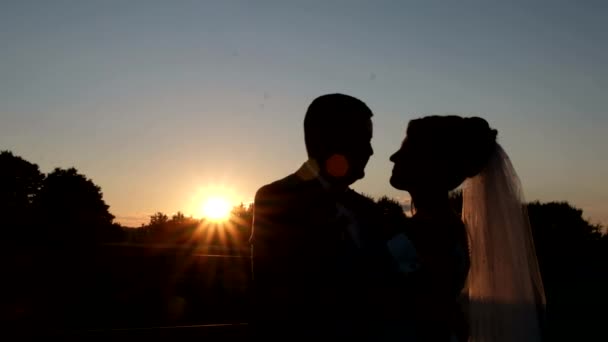 Η σιλουέτα ενός ερωτευμένου ζευγαριού σε φόντο ηλιοβασιλέματος. Η νύφη και ο γαμπρός φιλιούνται. — Αρχείο Βίντεο