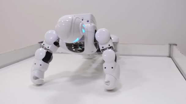 ロボットアスリートは腕のプッシュアップを行う. — ストック動画