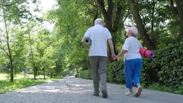 Personas mayores cogidas de la mano caminando por el parque. Vista trasera. — Vídeos de Stock