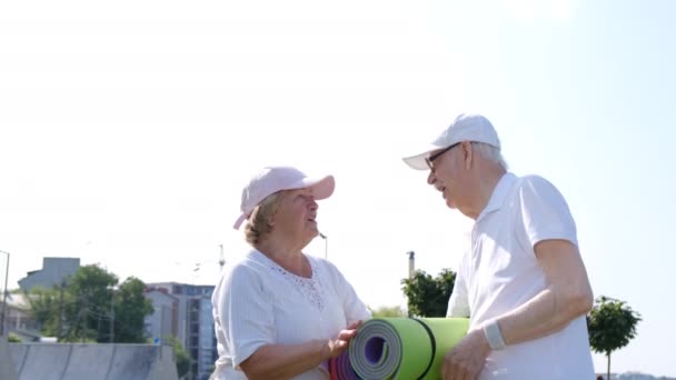 Parkta konuşan iki emekli Amerikalı, spor eğitimi alıyor. — Stok video
