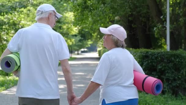 Щасливі пенсіонери, що ходять у міському парку, тримаються за руки і розмовляють один з одним — стокове відео