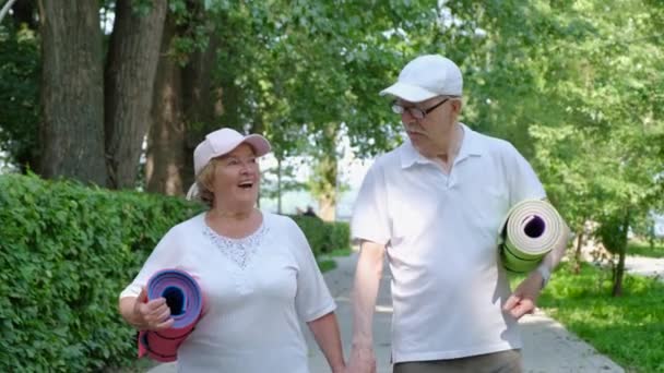 Feliz casal sênior aproveitando a vida na aposentadoria, eles andam no parque de mãos dadas. — Vídeo de Stock