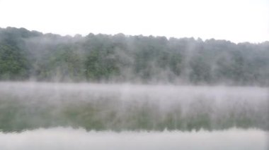 Nehirle birlikte ormanın üzerinde sis zamanı. Güzel sabah manzarası. 